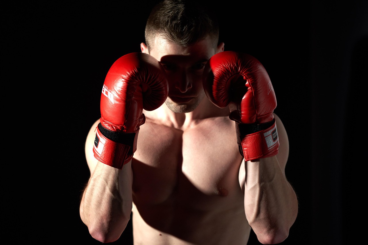 Boxe Française Adultes